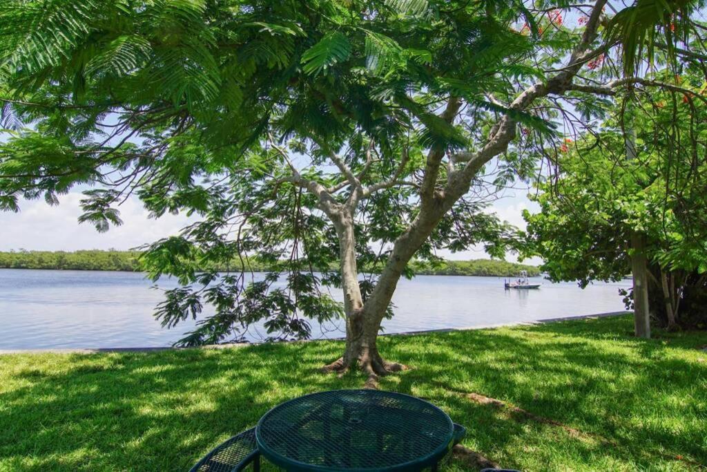 River Delight,Studio109, Beach & Pool Steps Away + Wifi Ruskin Esterno foto
