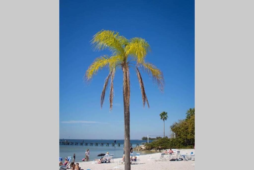 River Delight,Studio109, Beach & Pool Steps Away + Wifi Ruskin Esterno foto